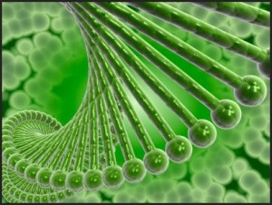 hair loss due to genes