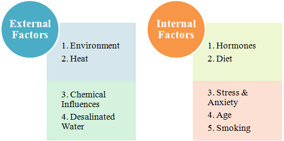 Internal & External Factors of hair loss
